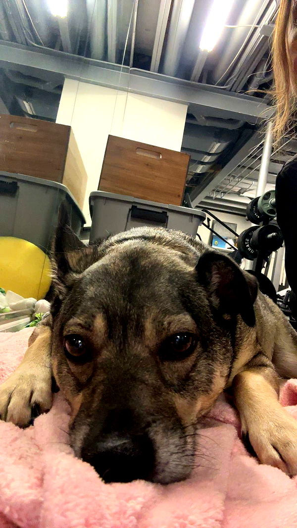 kaylamanouss17 image ~ Altpins