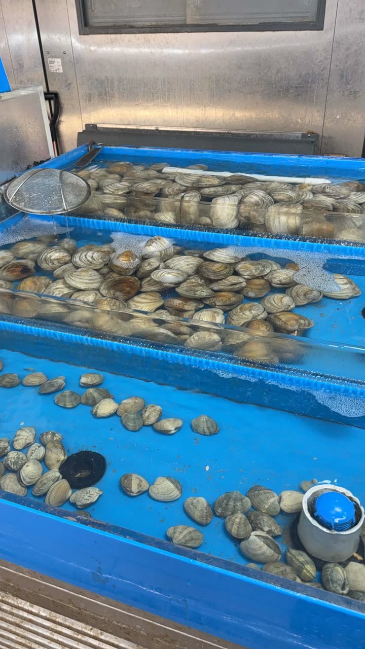 kayleedolisi snapchat image archive image