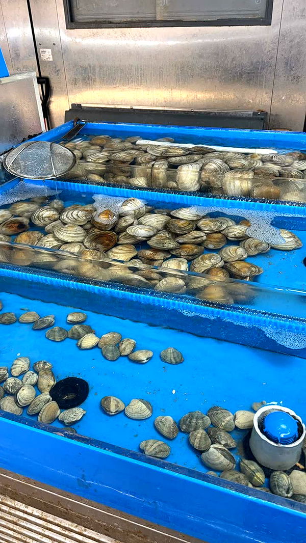 kayleedolisi image ~ Altpins