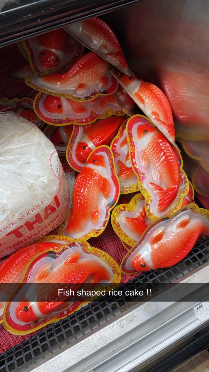 kayleedolisi snapchat image archive image