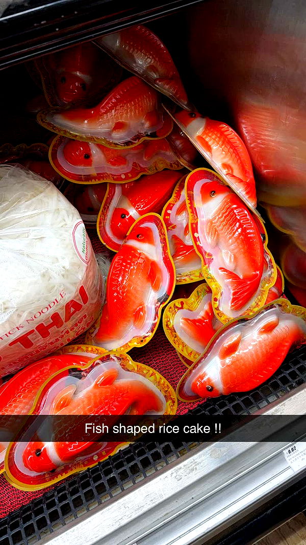 kayleedolisi image ~ Altpins