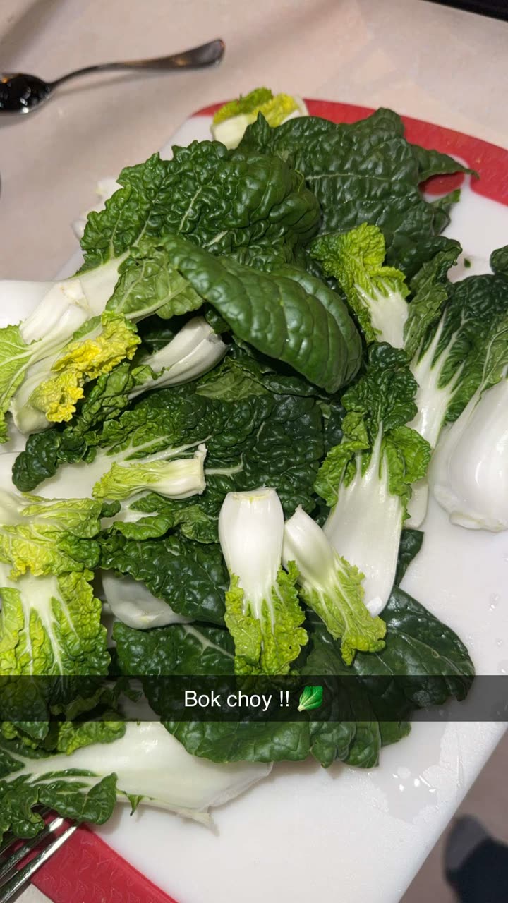 kayleedolisi snapchat image archive image