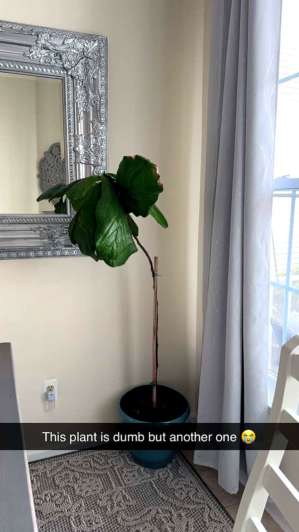 kayleedolisi image ~ Altpins