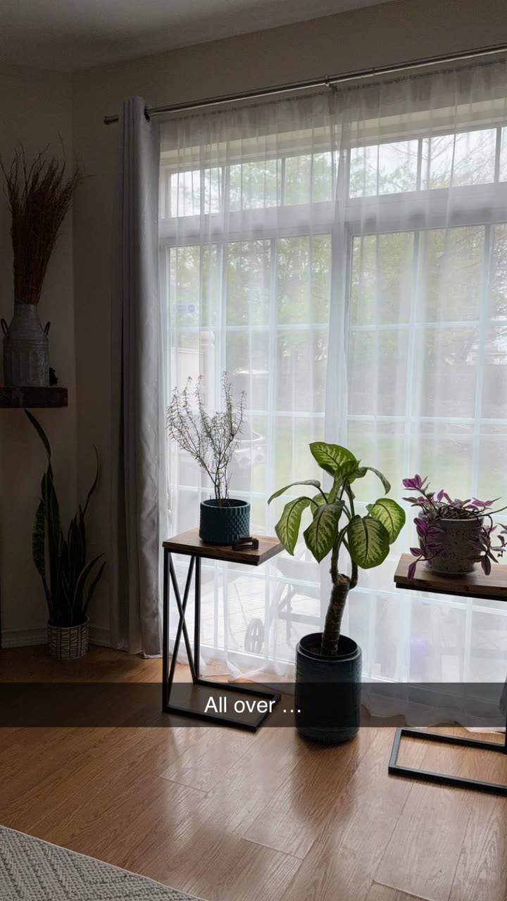 kayleedolisi snapchat image archive image