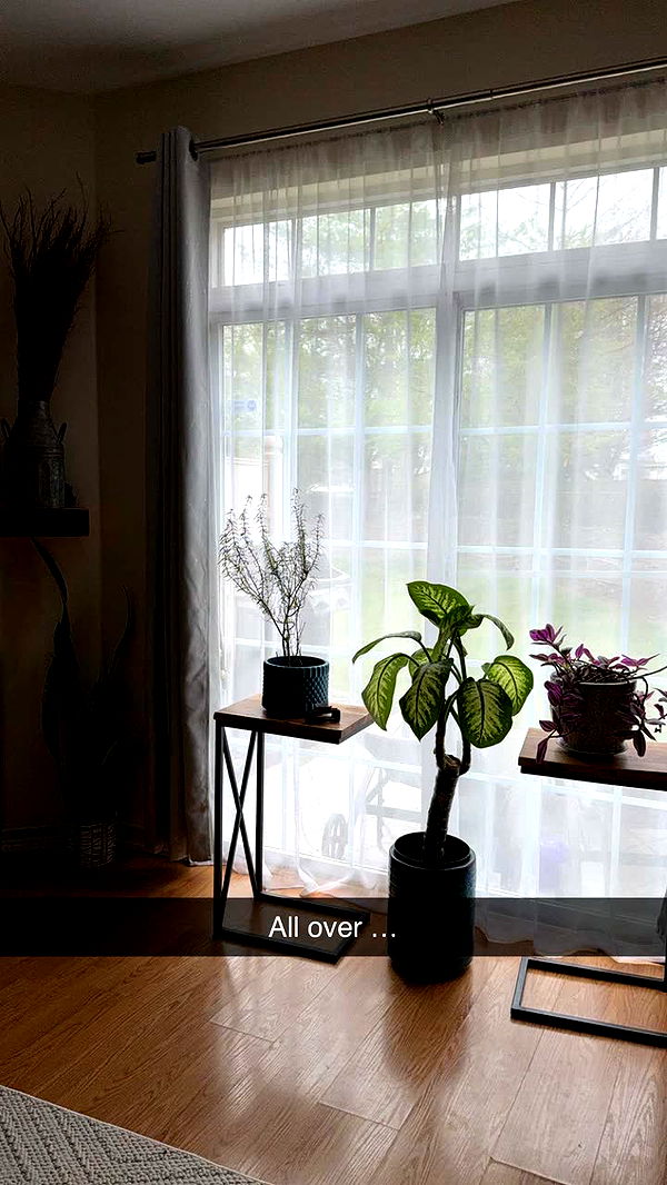 kayleedolisi image ~ Altpins