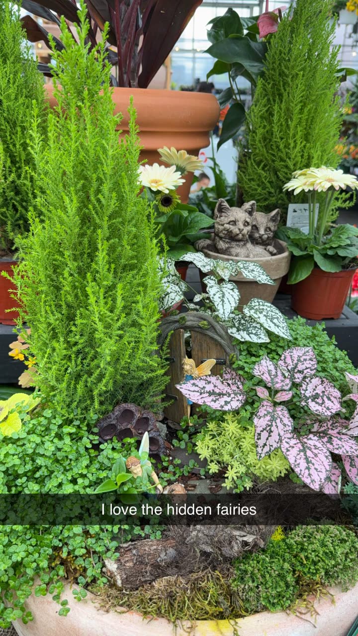 kayleedolisi snapchat image archive image