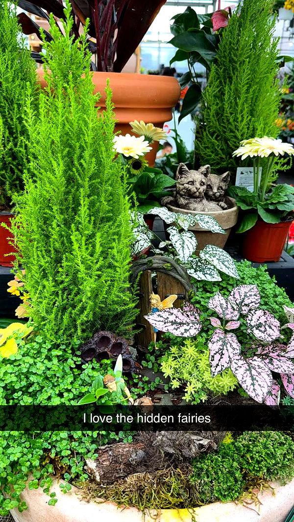 kayleedolisi image ~ Altpins