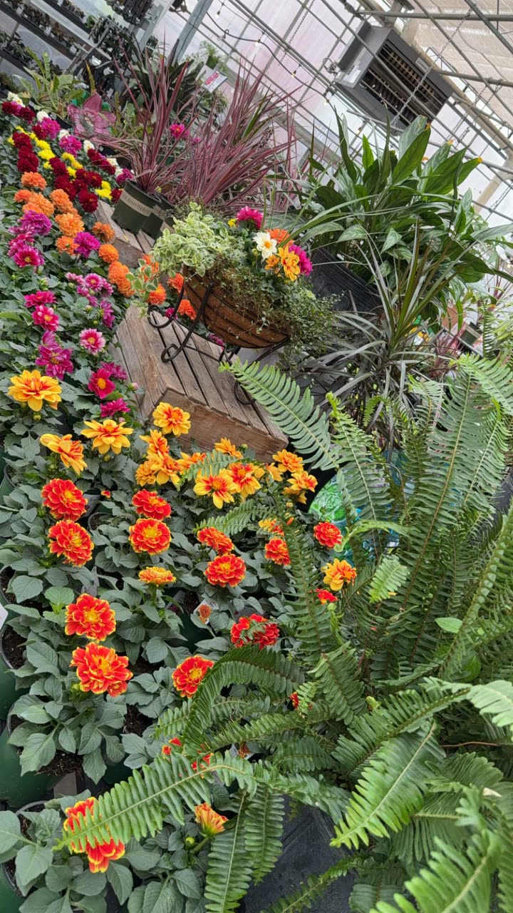 kayleedolisi snapchat image archive image