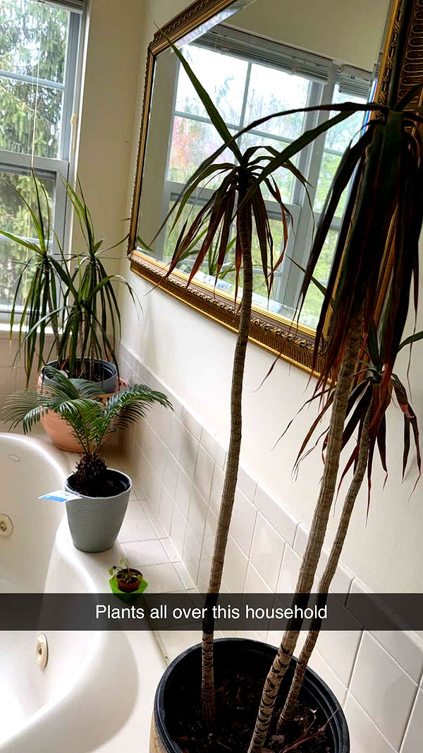 kayleedolisi image ~ Altpins