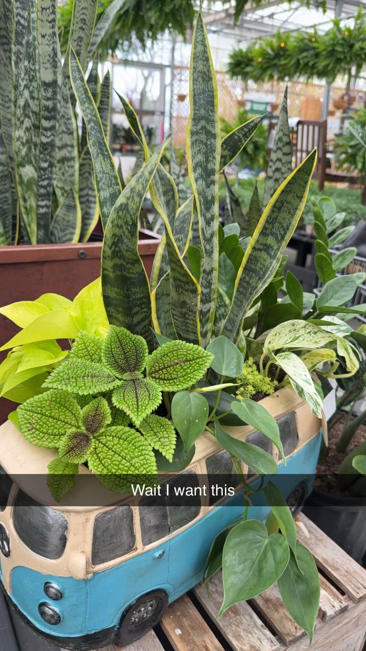 kayleedolisi snapchat image archive image