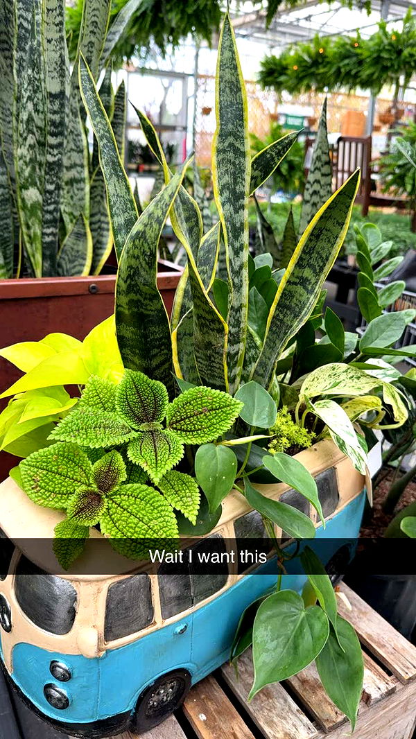 kayleedolisi image ~ Altpins