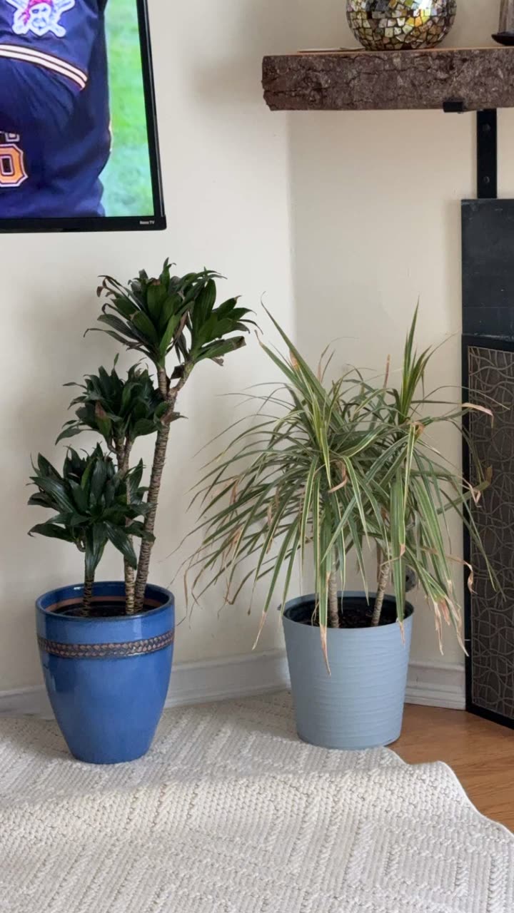 kayleedolisi snapchat image archive image