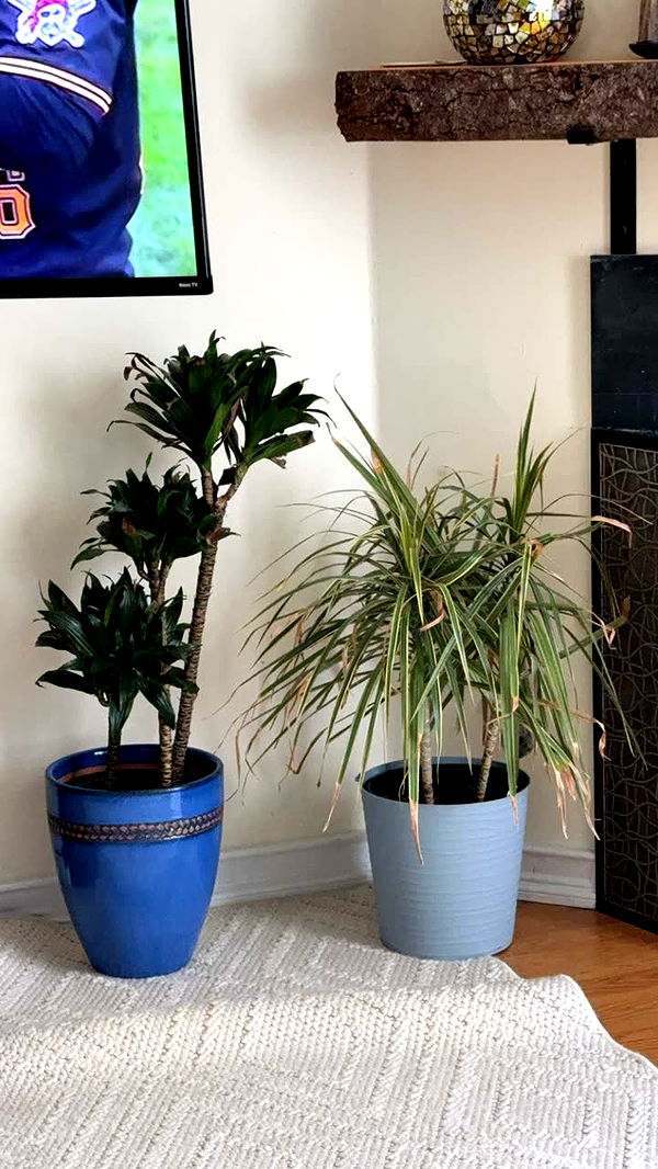 kayleedolisi image ~ Altpins