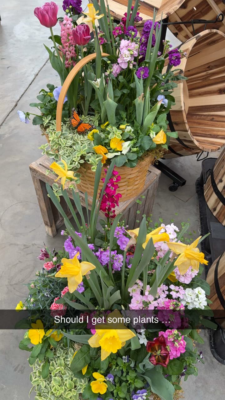 kayleedolisi snapchat image archive image