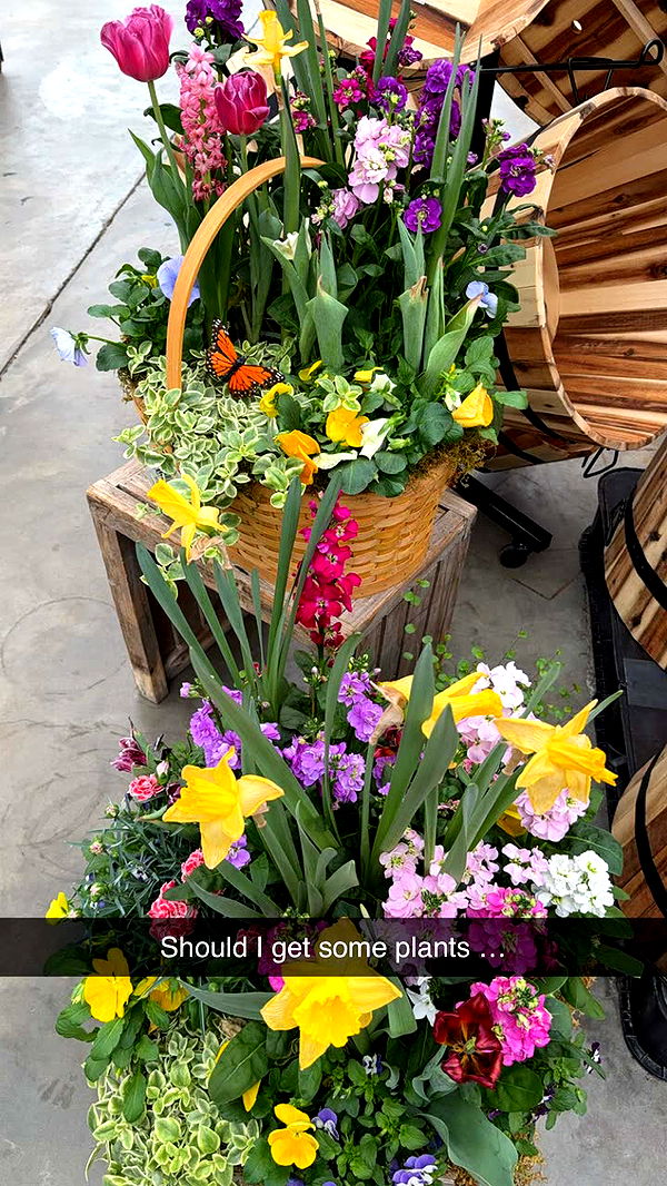 kayleedolisi image ~ Altpins