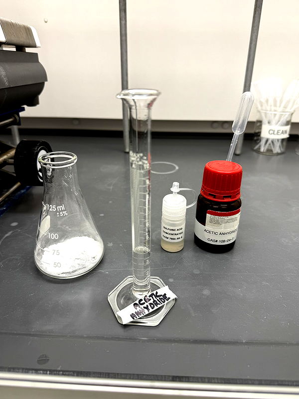 kayleedolisi image ~ Altpins