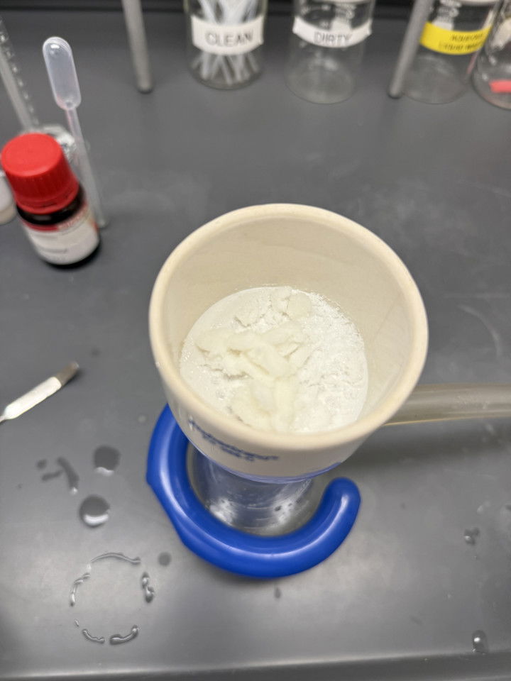 kayleedolisi snapchat image archive image