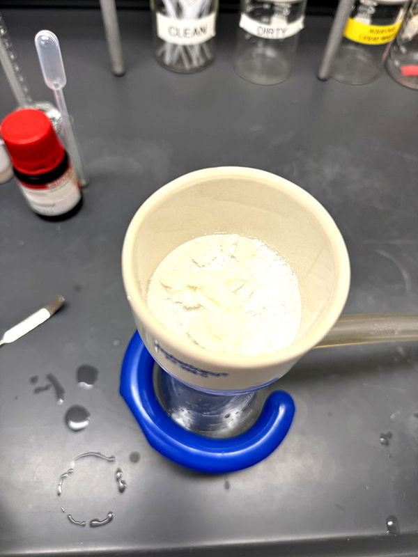 kayleedolisi image ~ Altpins