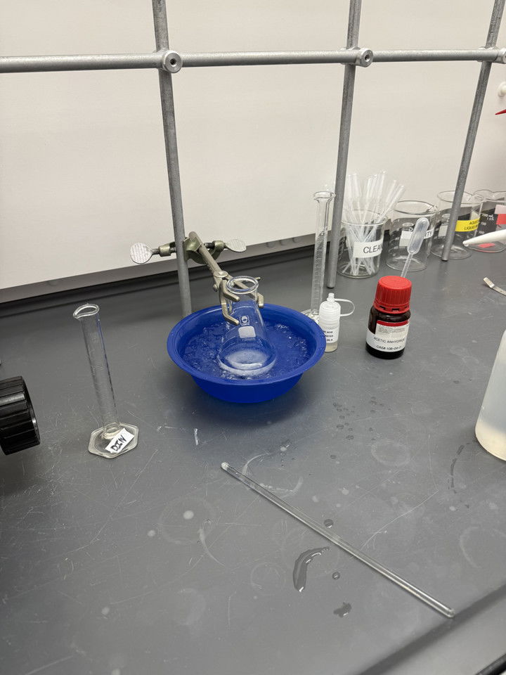 kayleedolisi snapchat image archive image