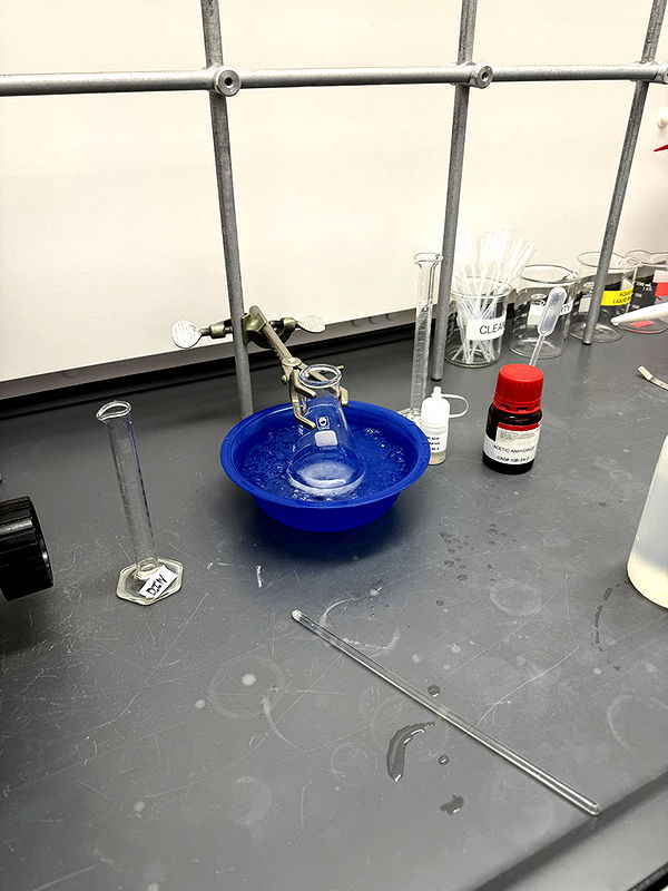 kayleedolisi image ~ Altpins