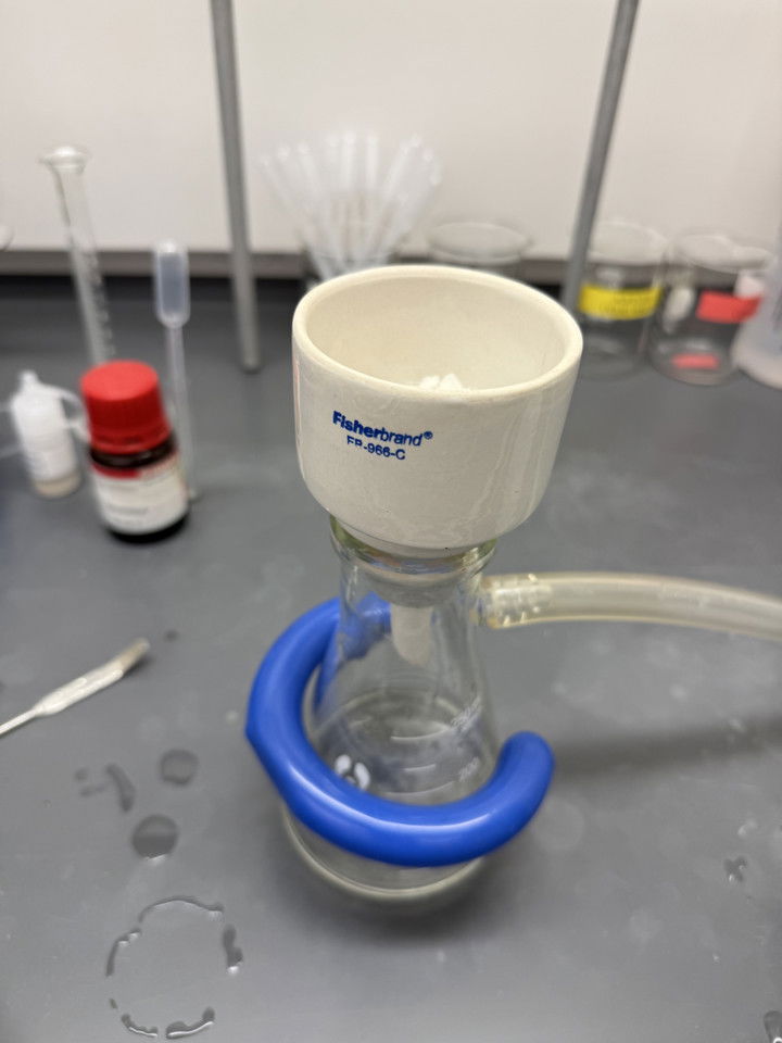 kayleedolisi snapchat image archive image