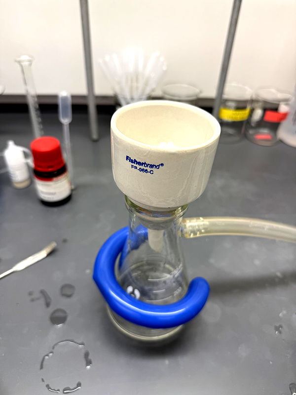 kayleedolisi image ~ Altpins