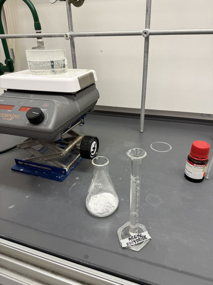 kayleedolisi snapchat image archive image