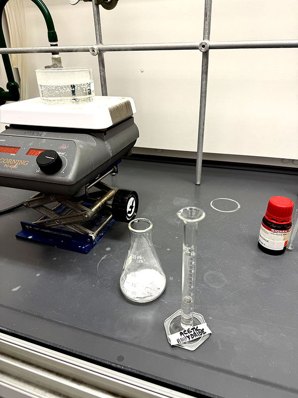 kayleedolisi image ~ Altpins