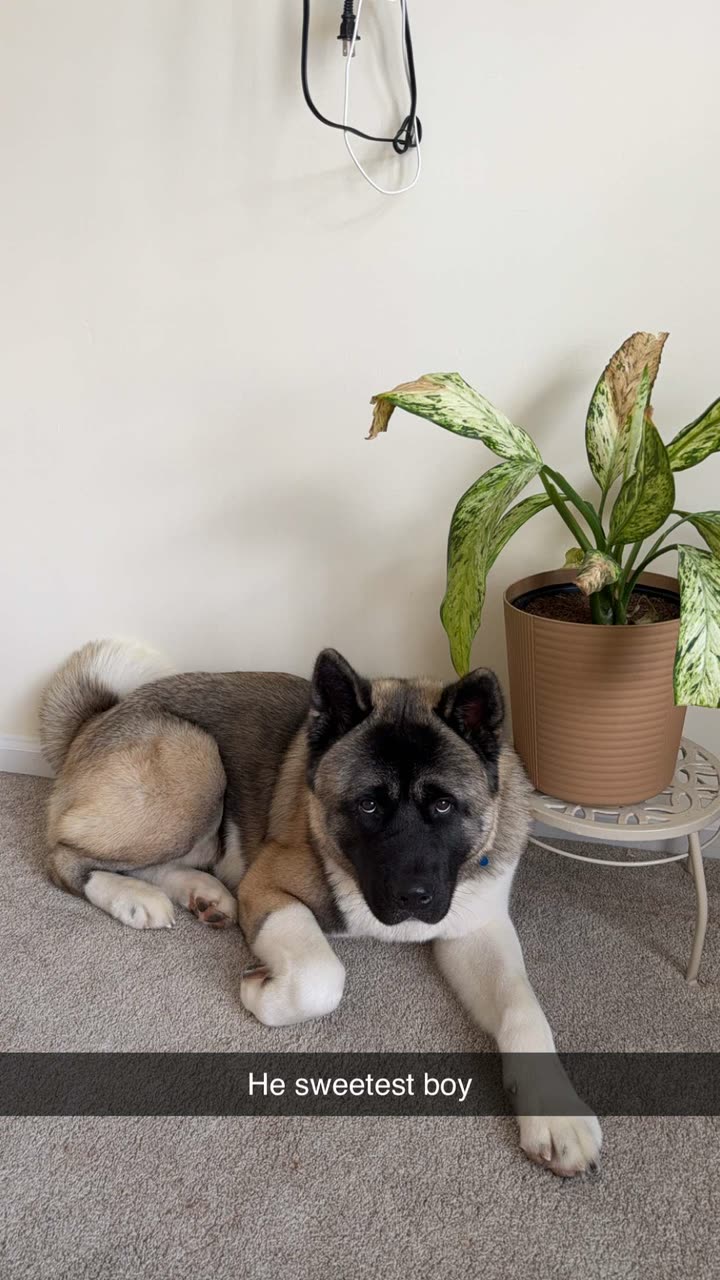 kayleedolisi snapchat image archive image