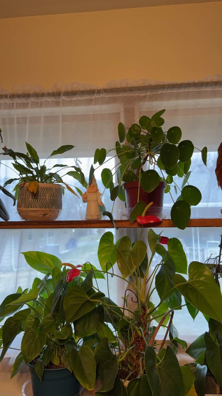 kayleedolisi snapchat image archive image