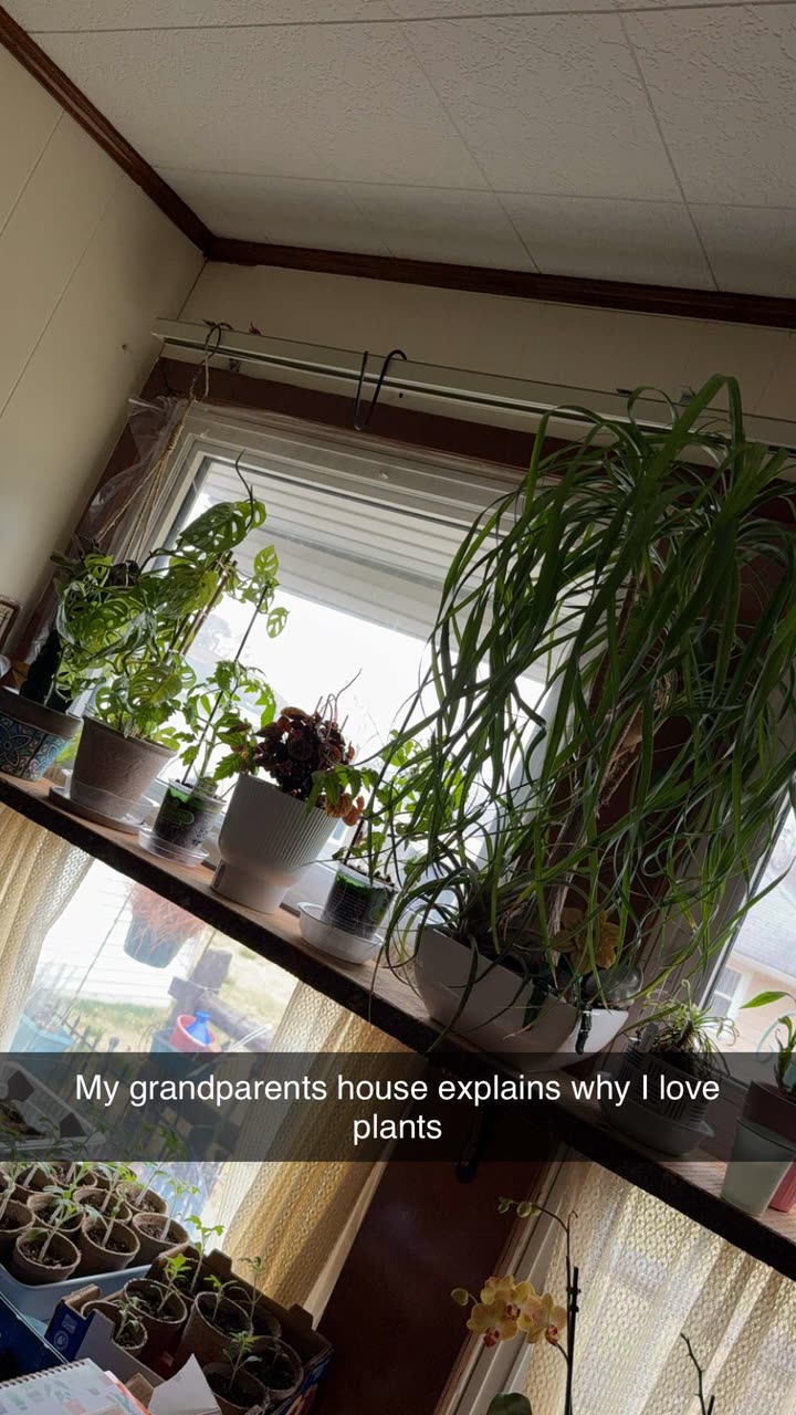 kayleedolisi snapchat image archive image