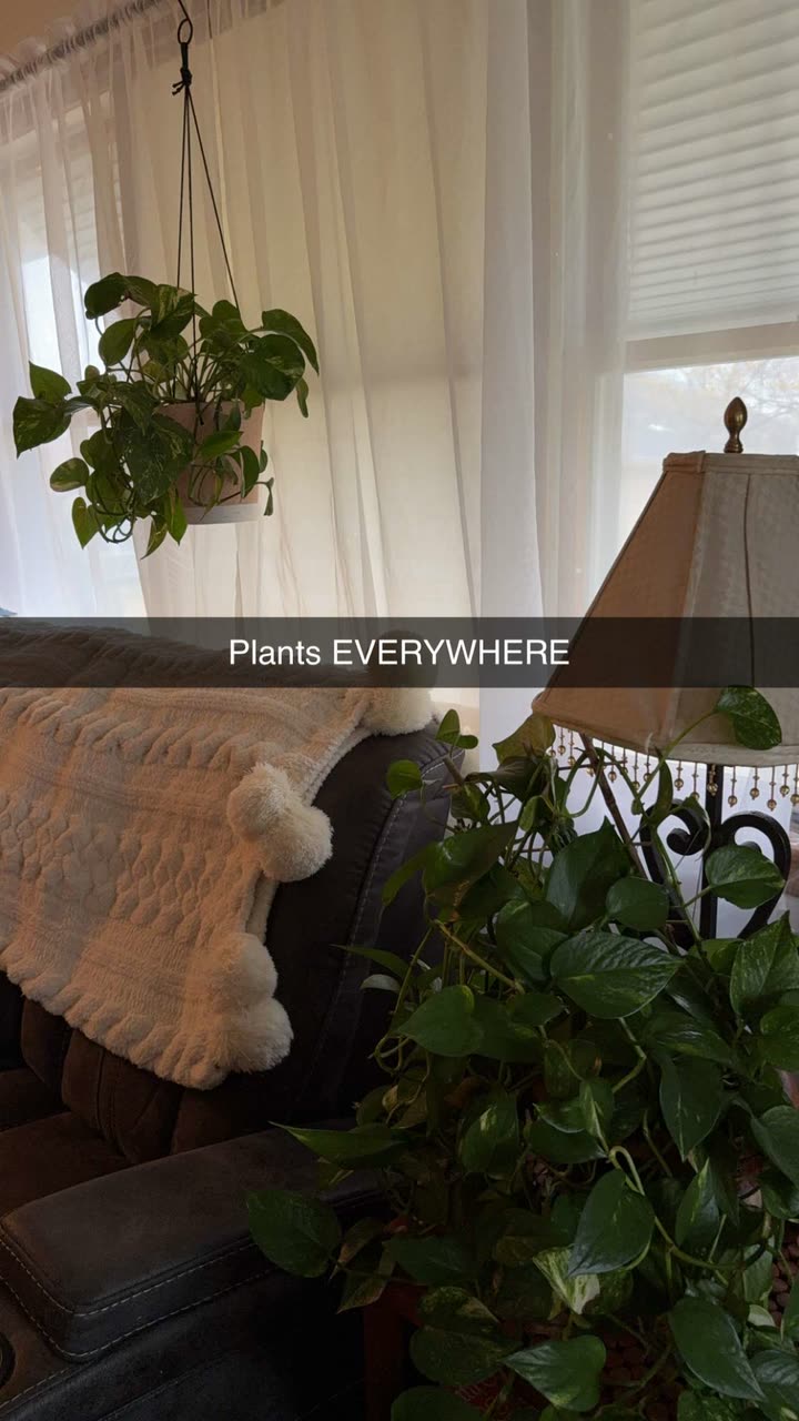 kayleedolisi snapchat image archive image