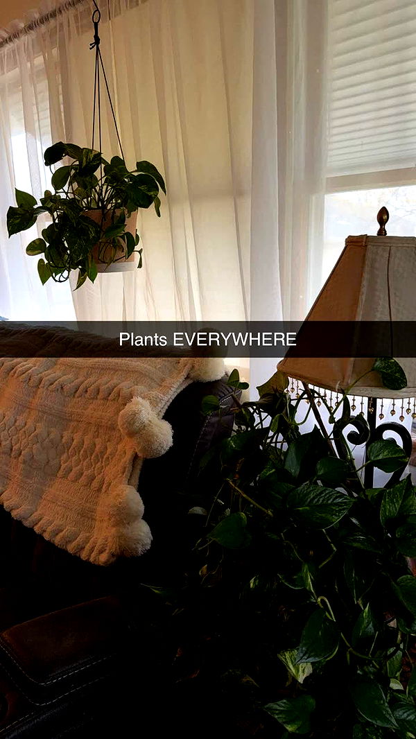 kayleedolisi image ~ Altpins