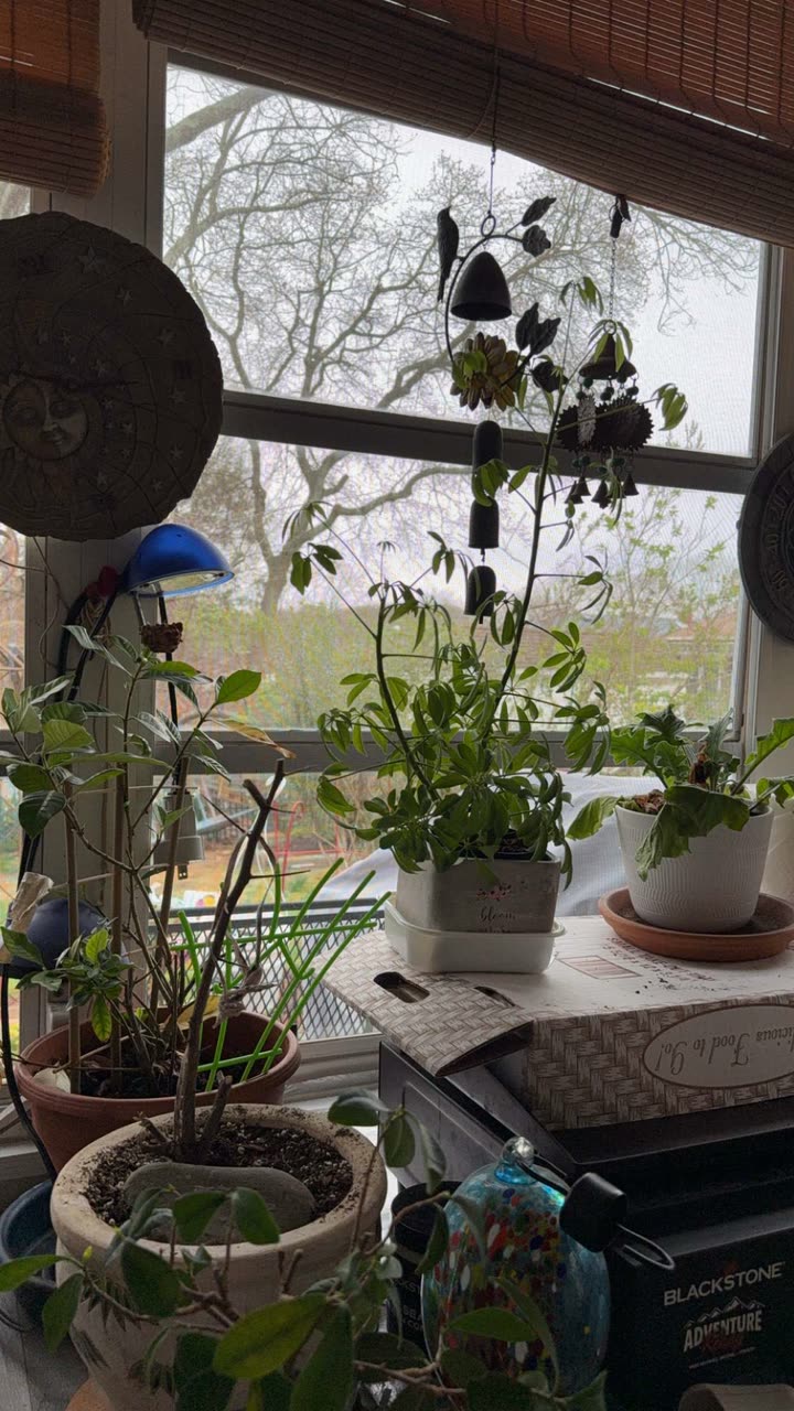 kayleedolisi snapchat image archive image