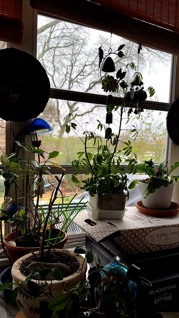 kayleedolisi image ~ Altpins