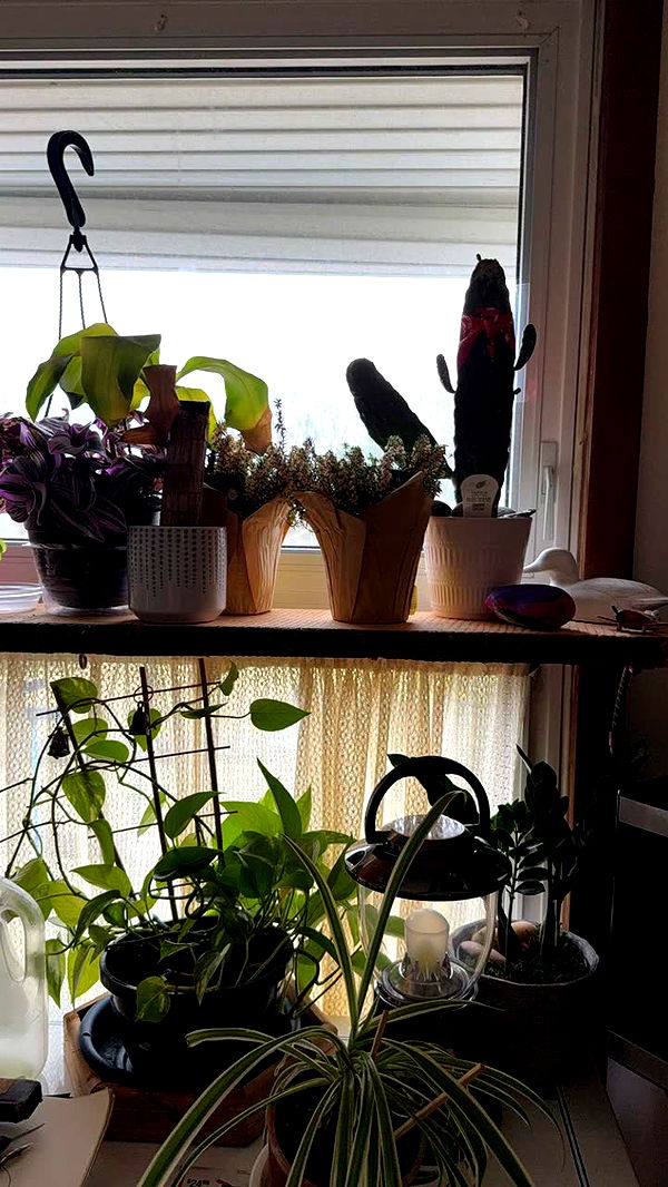 kayleedolisi image ~ Altpins