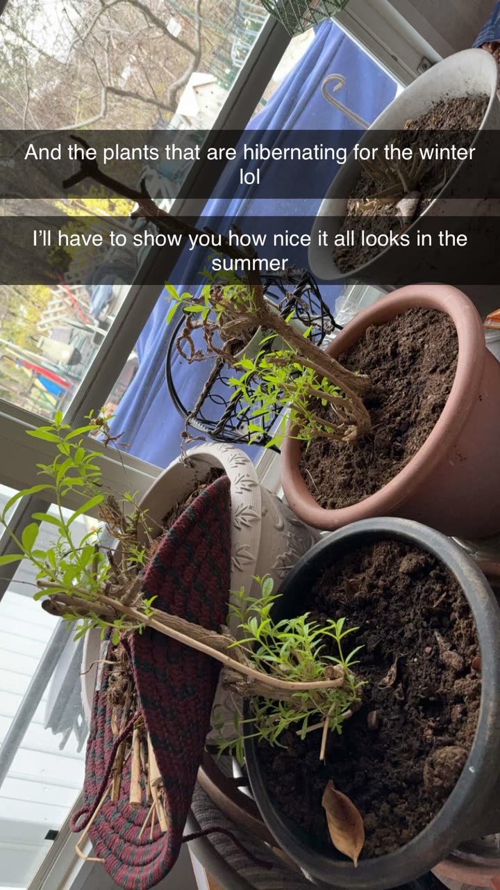 kayleedolisi snapchat image archive image