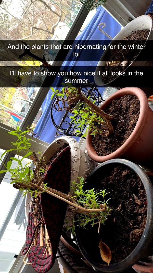 kayleedolisi image ~ Altpins