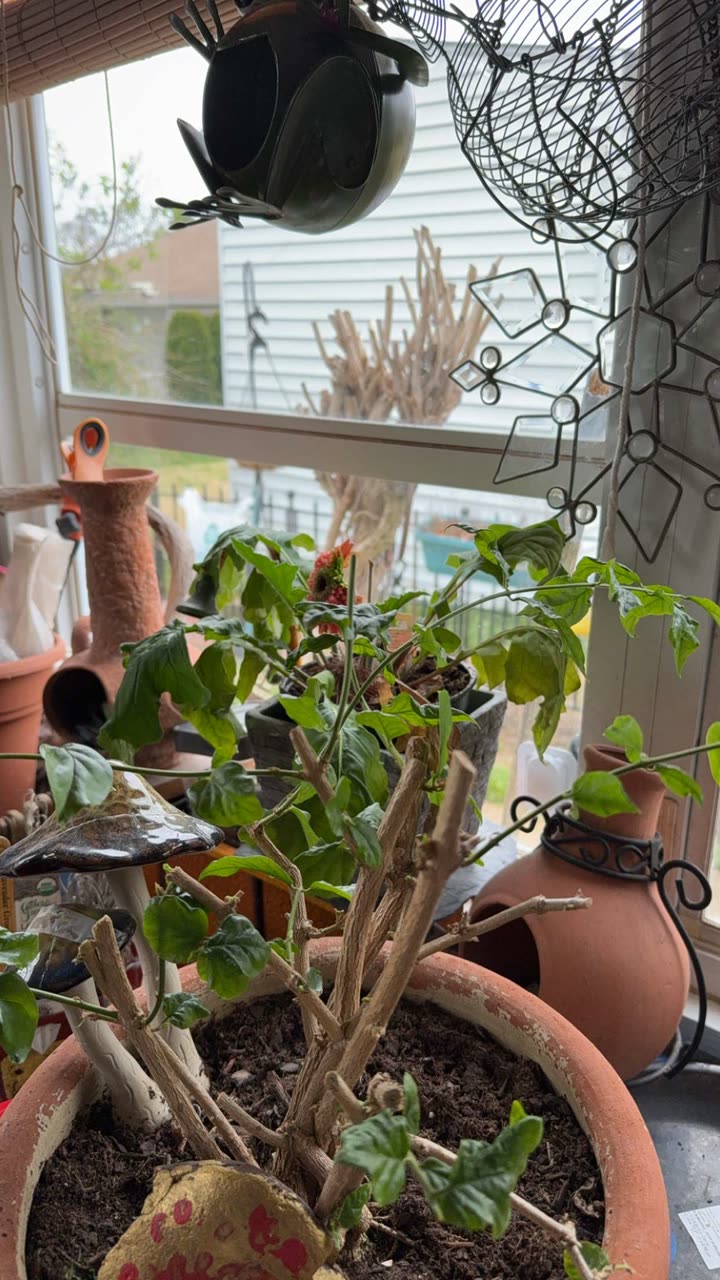 kayleedolisi snapchat image archive image