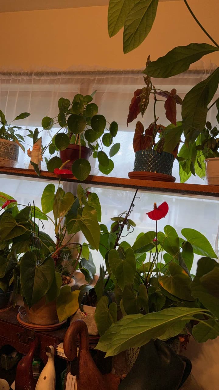 kayleedolisi snapchat image archive image