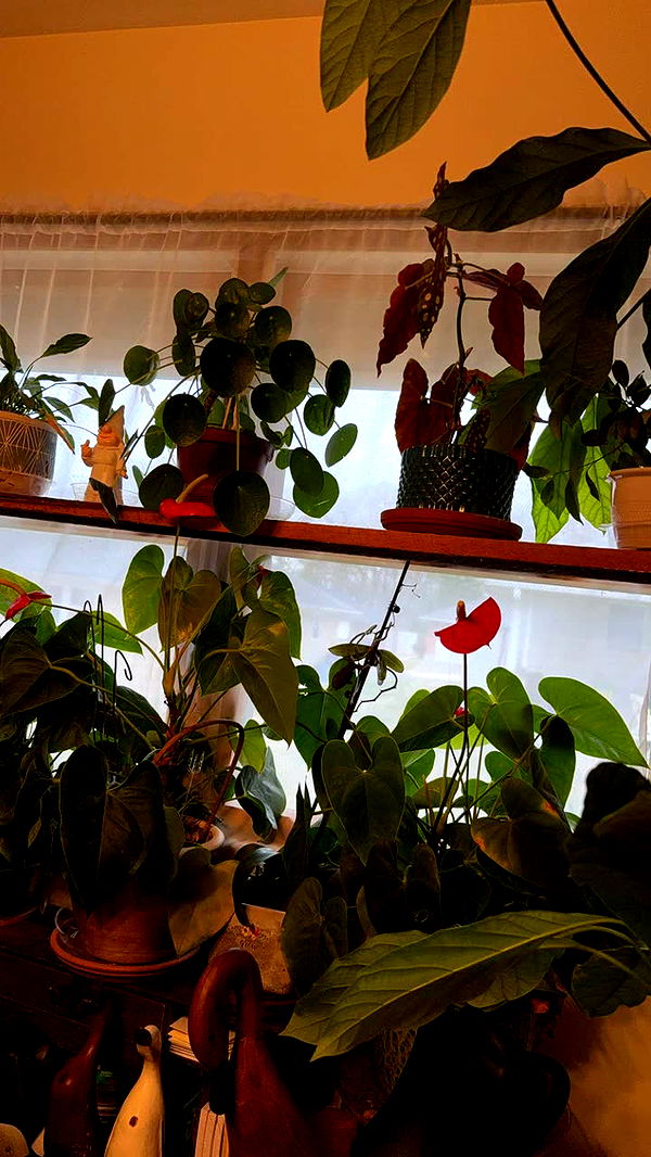 kayleedolisi image ~ Altpins