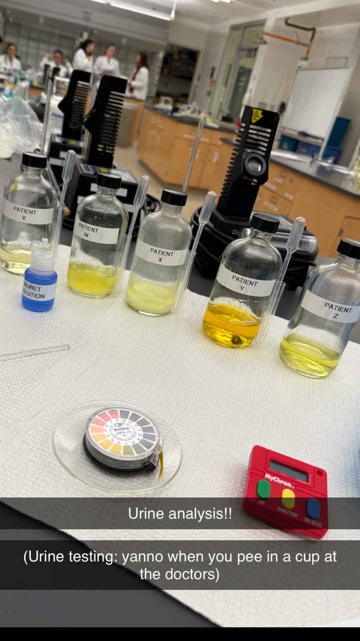 kayleedolisi snapchat image archive image