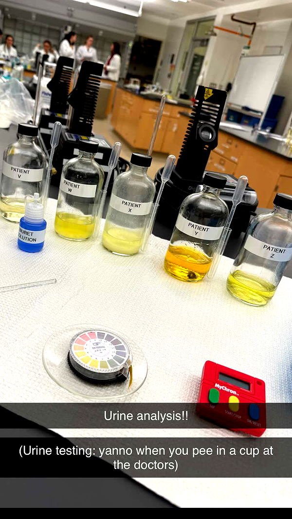 kayleedolisi image ~ Altpins