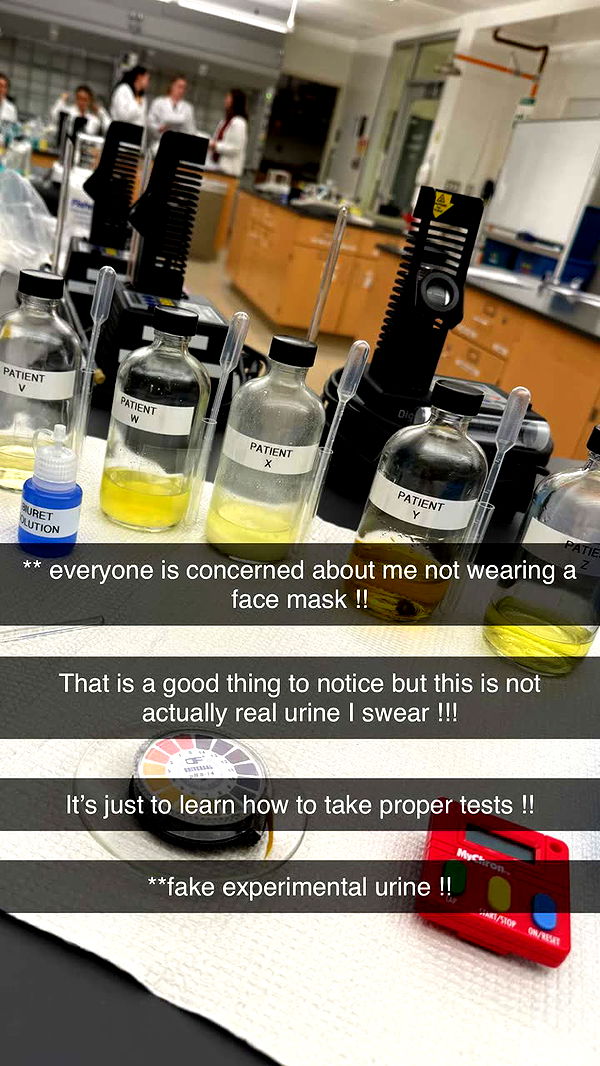 kayleedolisi image ~ Altpins