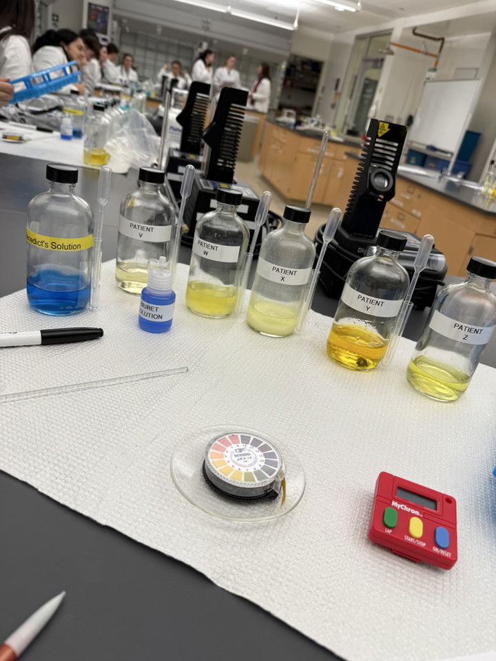 kayleedolisi snapchat image archive image