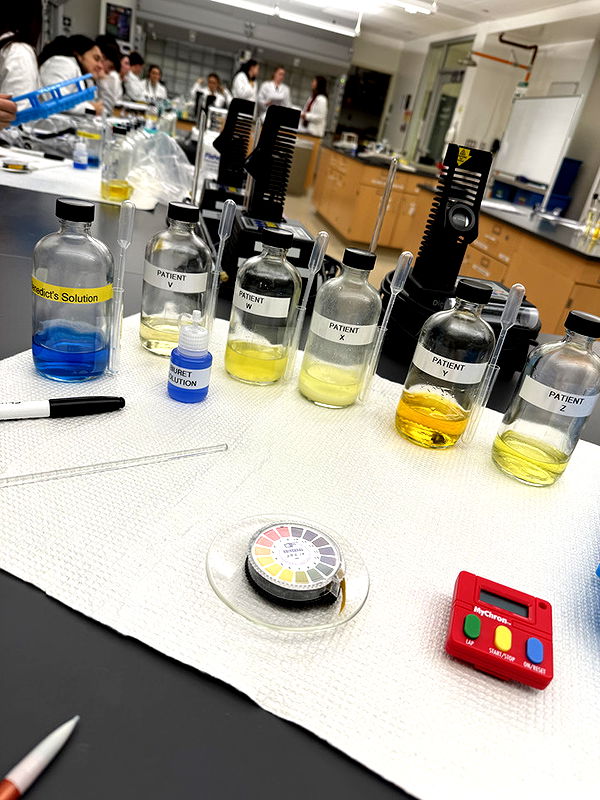 kayleedolisi image ~ Altpins