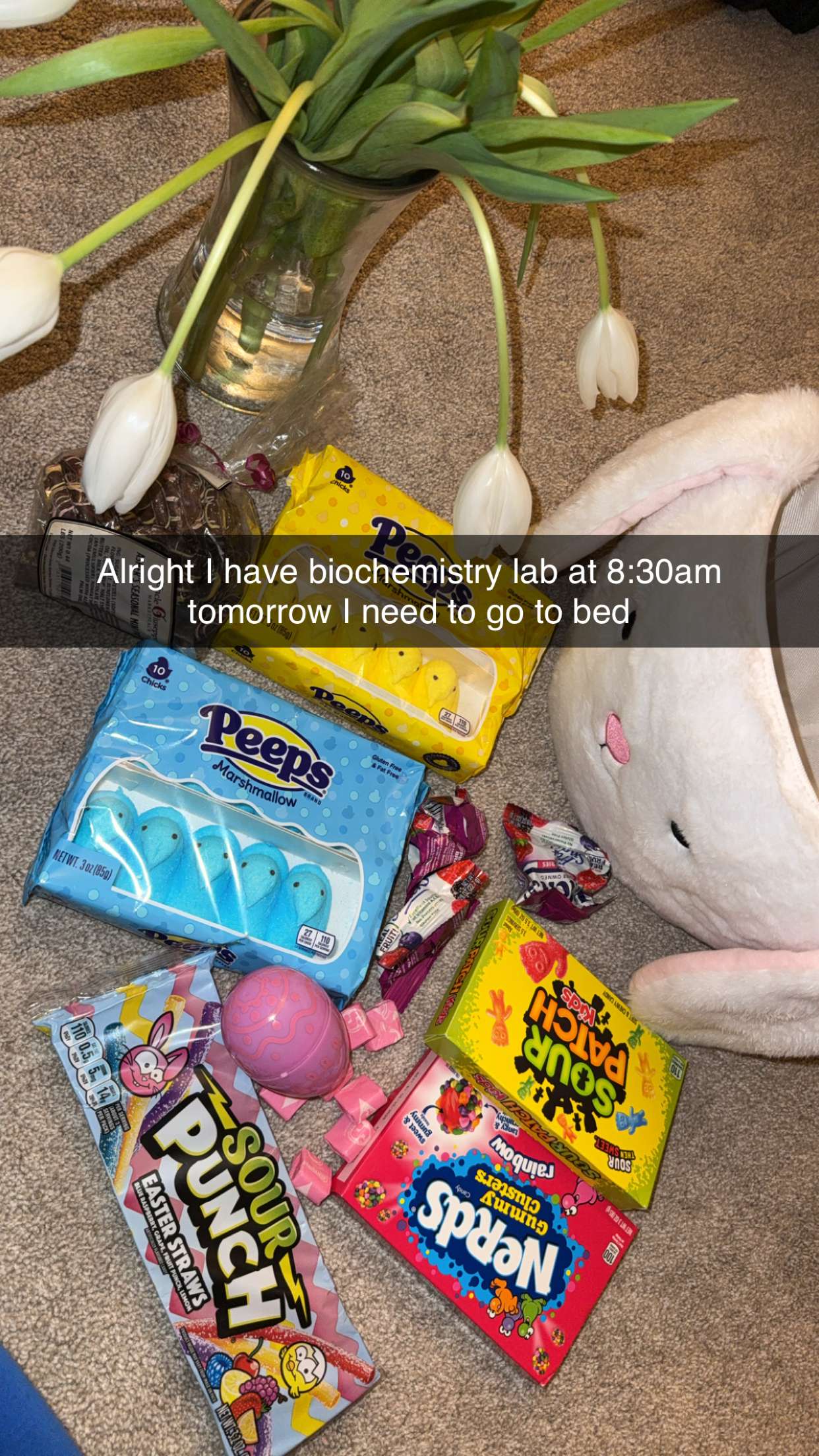 kayleedolisi snapchat image archive image