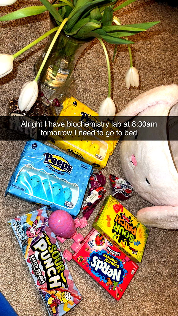 kayleedolisi image ~ Altpins