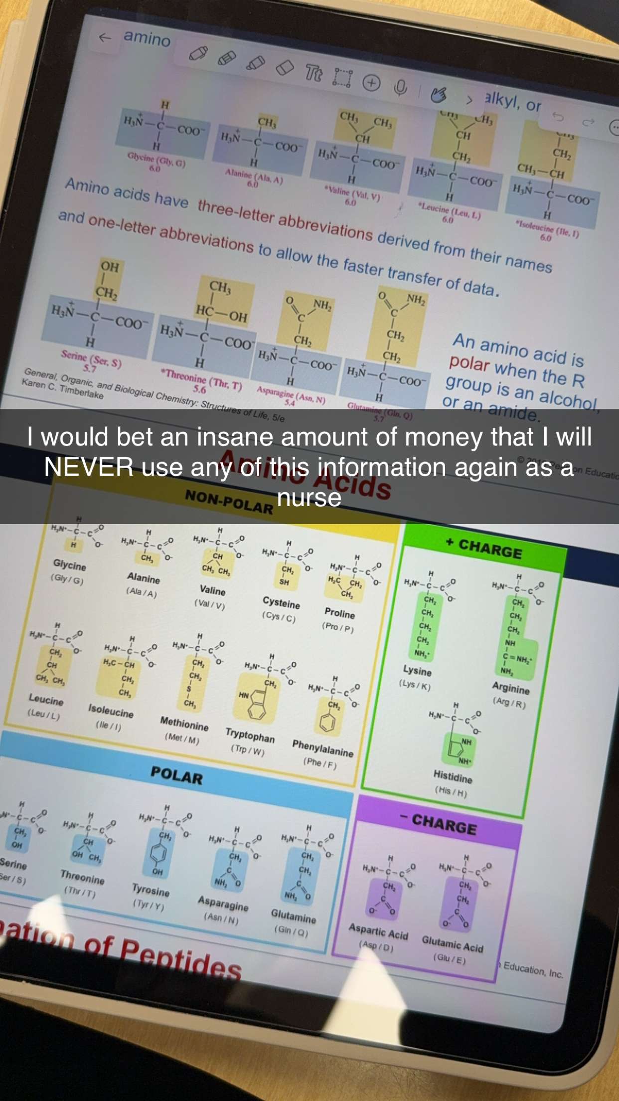 kayleedolisi snapchat image archive image