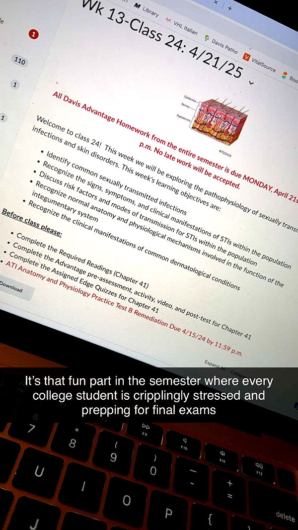 kayleedolisi image ~ Altpins